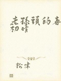 老孙头的春天林初晴