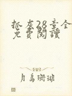 抓灰28章全部免费阅读