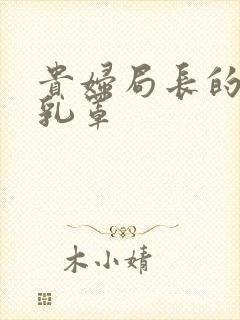 贵妇局长的蕾丝乳罩