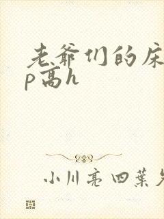 老爷们的床奴np高h