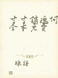 寸寸销魂何生祥全本免费