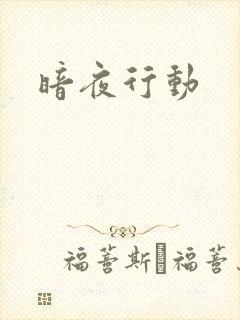 暗夜行动
