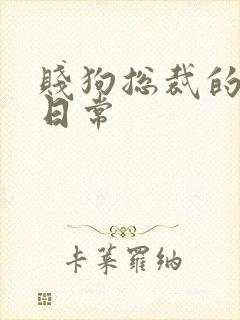 贱狗总裁的私教日常