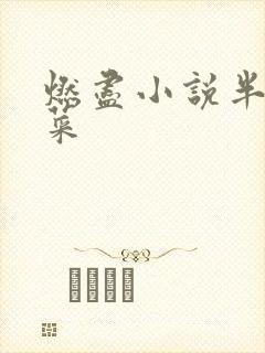 燃尽小说半截白菜