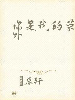 你是我的荣耀番外