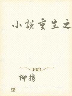 小说重生之官道