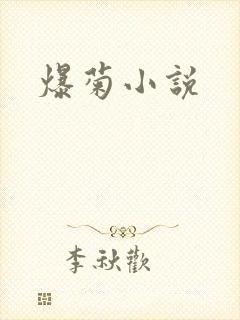 爆菊小说