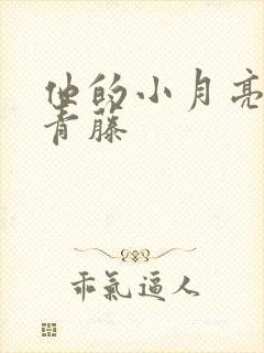 他的小月亮by青藤