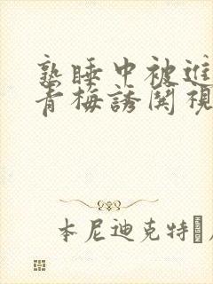 熟睡中被进了H青梅诱哄视频