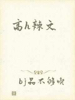 高h辣文