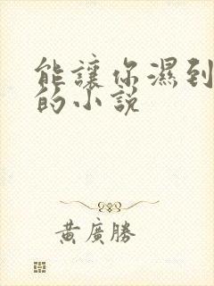 能让你湿到不行的小说