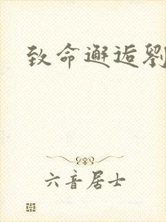 致命邂逅刘小寐