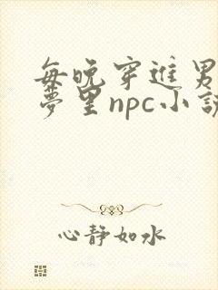 每晚穿进男神的梦里npc小说