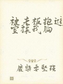 被老板抱进办公室揉我胸