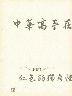 中华高手在异世