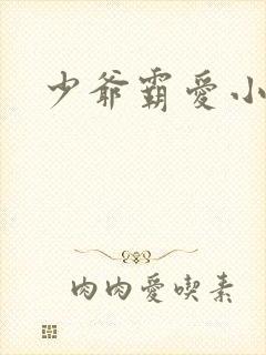 少爷霸爱小丫头