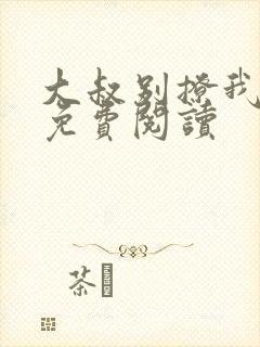 大叔别撩我小说免费阅读