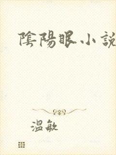 阴阳眼小说