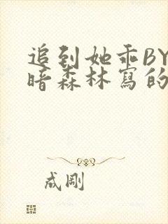 追到她乖BY黑暗森林写的小说