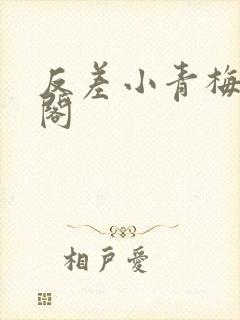 反差小青梅笔趣阁
