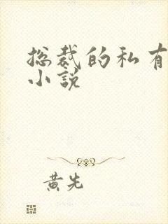 总裁的私有宝贝小说