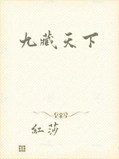 九藏天下