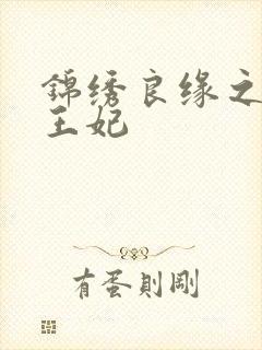 锦绣良缘之北地王妃