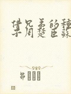 借兄弟的种生孩子周楚臣苏糖