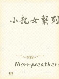 小龙女系列小说