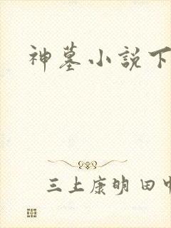 神墓小说下载