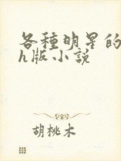 各种明星的综艺h版小说