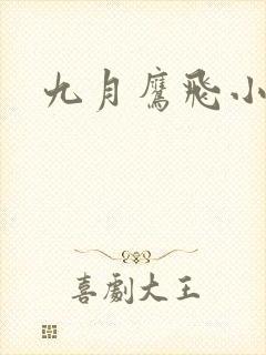 九月鹰飞小说