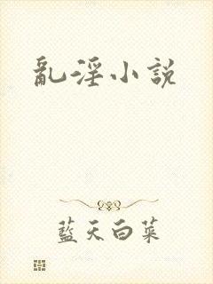 乱淫小说