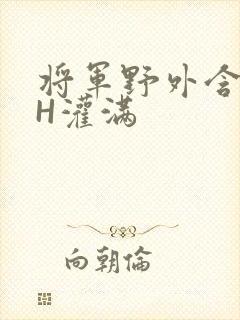 将军野外含公主H灌满