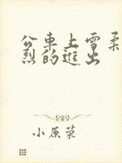 公车上雪柔被猛烈的进出