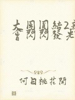 大团圆结2亲情会闪闪发光亲情会2