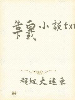 告白小说txt下载