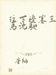 往下边塞玉器骑马沈驰