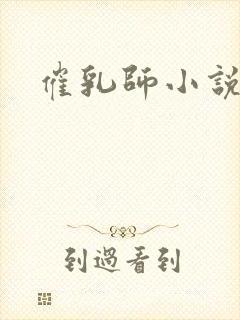 催乳师小说