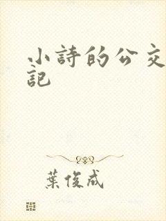 小诗的公交车日记