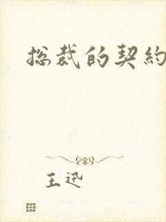 总裁的契约情人