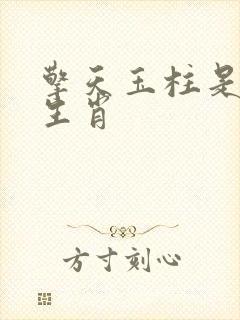 擎天玉柱是什么生肖