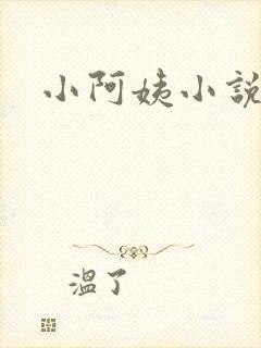 小阿姨小说