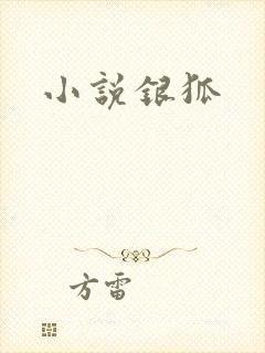 小说银狐