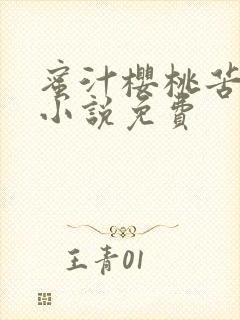 蜜汁樱桃苦咖啡小说免费