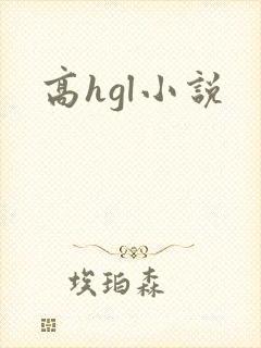 高hgl小说