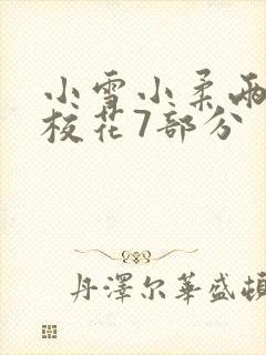 小雪小柔两个大校花7部分