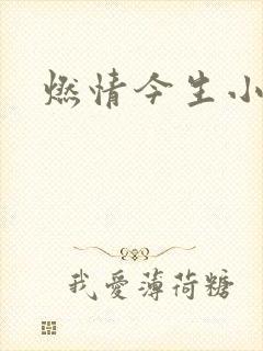 燃情今生小说