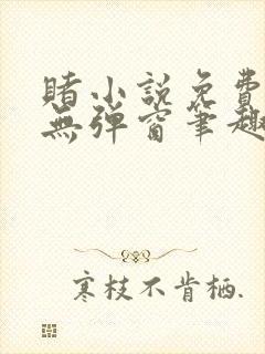 赌小说免费阅读无弹窗笔趣阁