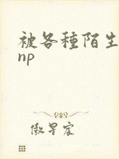 被各种陌生人 np